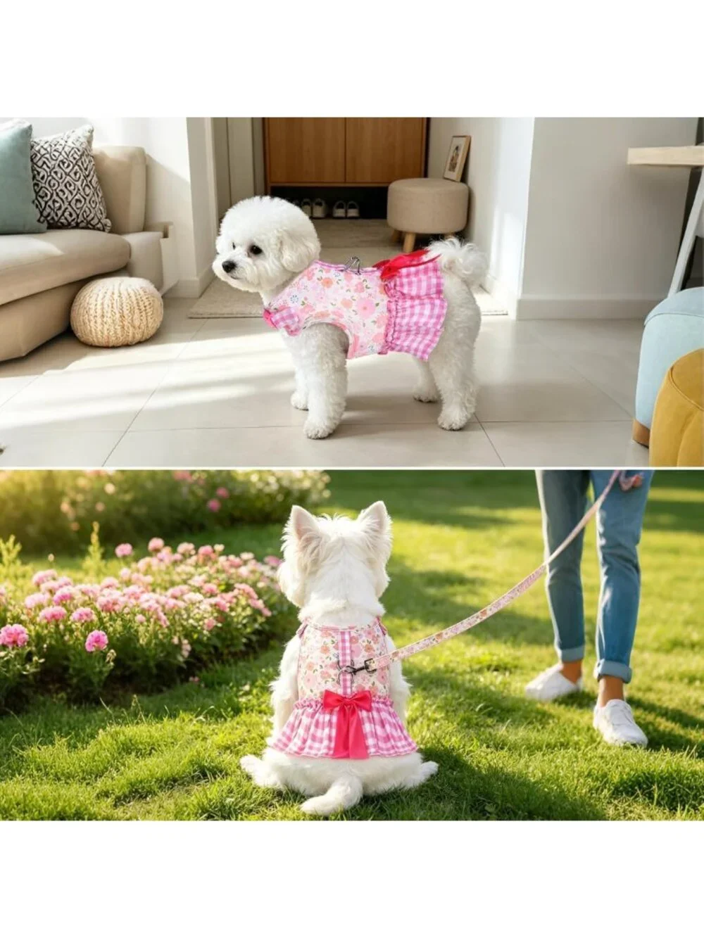 Cute Small Dog Harness & Leash Set - Adorable Dress Style for Girls